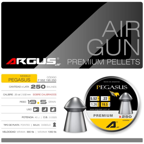 Pegasus 19,5