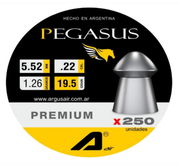 Pegasus 19,5