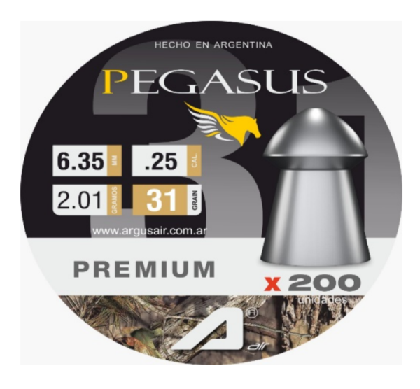 Pegasus 31