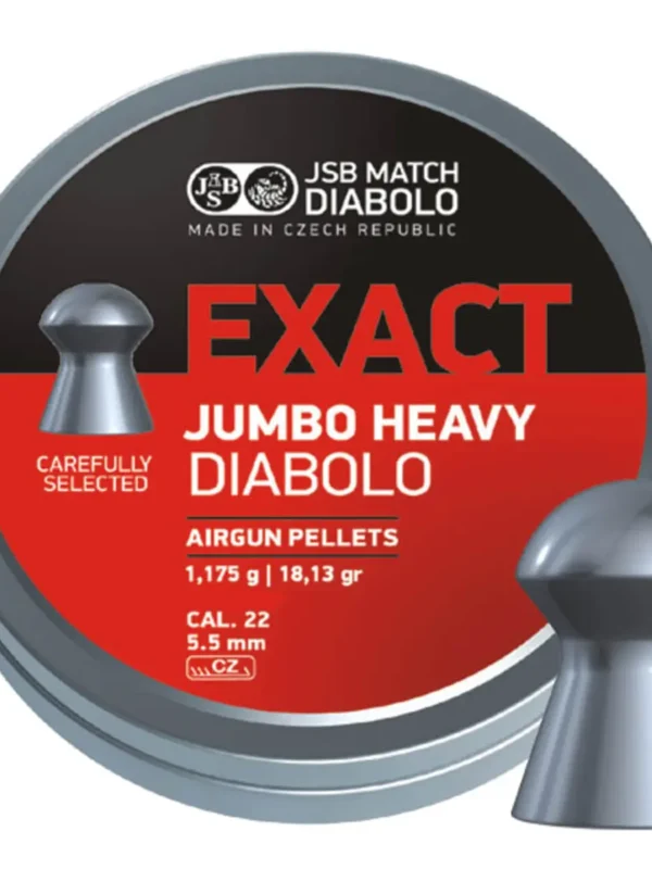 JSB Exact Heavy 18,13 grains (5,52)